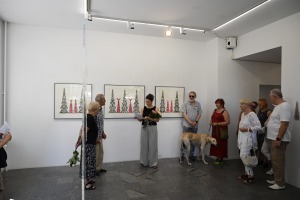 30-DSC_4243