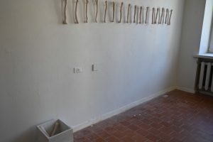 Fotod-Meriem-Kimmer.-Vilnius-Academy-of-Arts23-15