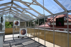 Fotod-Meriem-Kimmer.-Vilnius-Academy-of-Arts23-72