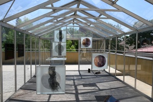 Fotod-Meriem-Kimmer.-Vilnius-Academy-of-Arts23-73