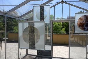 Fotod-Meriem-Kimmer.-Vilnius-Academy-of-Arts23-76